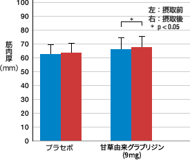 大腿前部の筋肉量の増加を表すグラフ