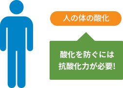 人の体の酸化を防ぐには抗酸化力が必要ということを表すイラスト