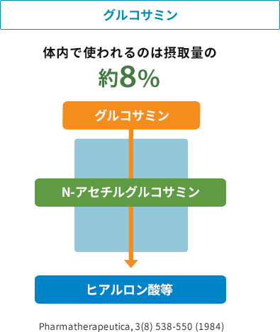 グルコサミンが体内で使用される図、約8%