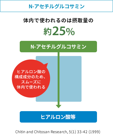 N-アセチルグルコサミンが体内で使用される図、約25%。ヒアルロン酸の構成成分のため、スムーズに体内で使われる