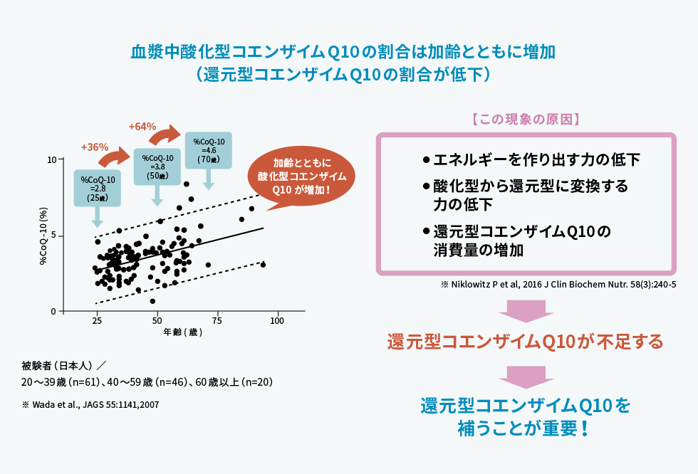  血中の酸化型コエンザイムQ10の割合は加齢とともに増加（還元型コエンザイムQ10の割合が低下）することを説明した図。 この減少の原因は、エネルギーを作り出す力の低下、酸化型から還元型に変換する力の低下、還元型コエンザイムQ10の消費量の増加がある。 還元型コエンザイムQ10をおぎなることが重要である。