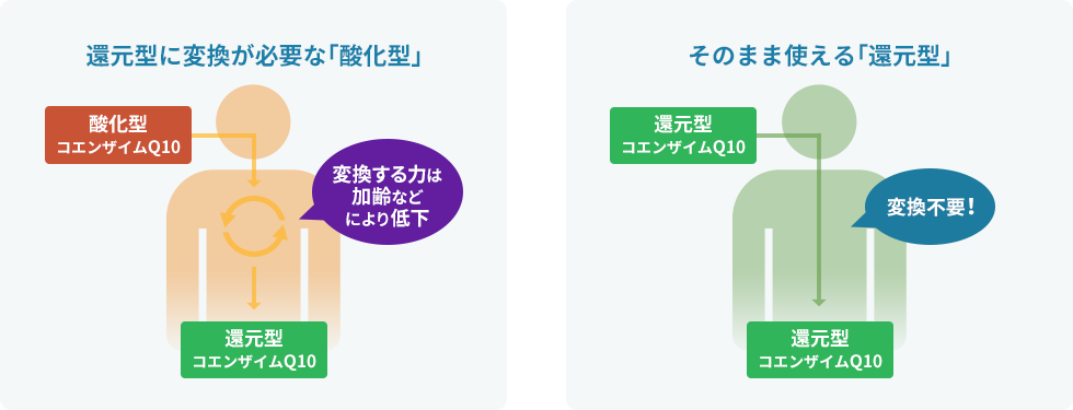  還元型に変換が必要な酸化型と、変換不要でそのまま使える還元型を説明したイラスト