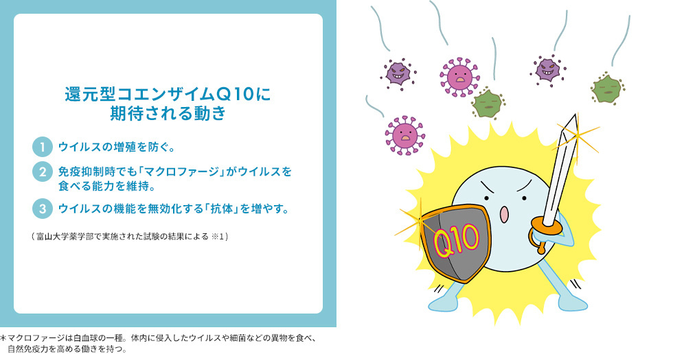 還元型コエンザイムQ10のイラストと還元型コエンザイムQ10に期待される動きの説明。①ウイルスの増殖を防ぐ。②免疫抑制時でも「マクロファージ」がウイルスを食べる能力を維持。③ウイルスの機能を無効化する「交代」を増やす。（富山大学薬学部で実施された試験の結果による）