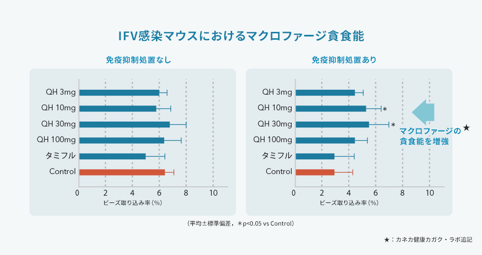 マクロファージについて、ウイルスを食べる能力（貪食能） を測定した結果を表す図