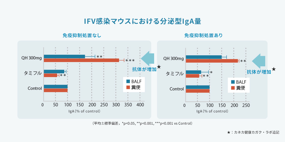 マウスの肺や気管支と糞に残る抗体（分泌型IgA）の量を測定した結果を表す図