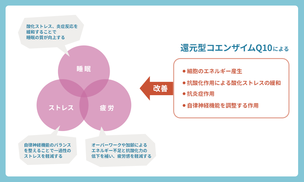 「ストレス」「睡眠」「疲労」 に働きかける還元型コエンザイムQ10のメカニズムを説明した図。睡眠、ストレス、疲労が各々円に入っており、少しずつ重なっている。それらを改善する還元型コエンザイムQ10の働きを説明する図版。働きは・細胞のエネルギー生産・抗酸化作用による参加ストレスの緩和・抗炎症作用・自立神経昨日を調整する作用