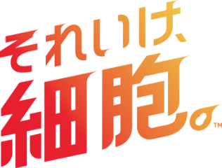 それいけ、細胞。